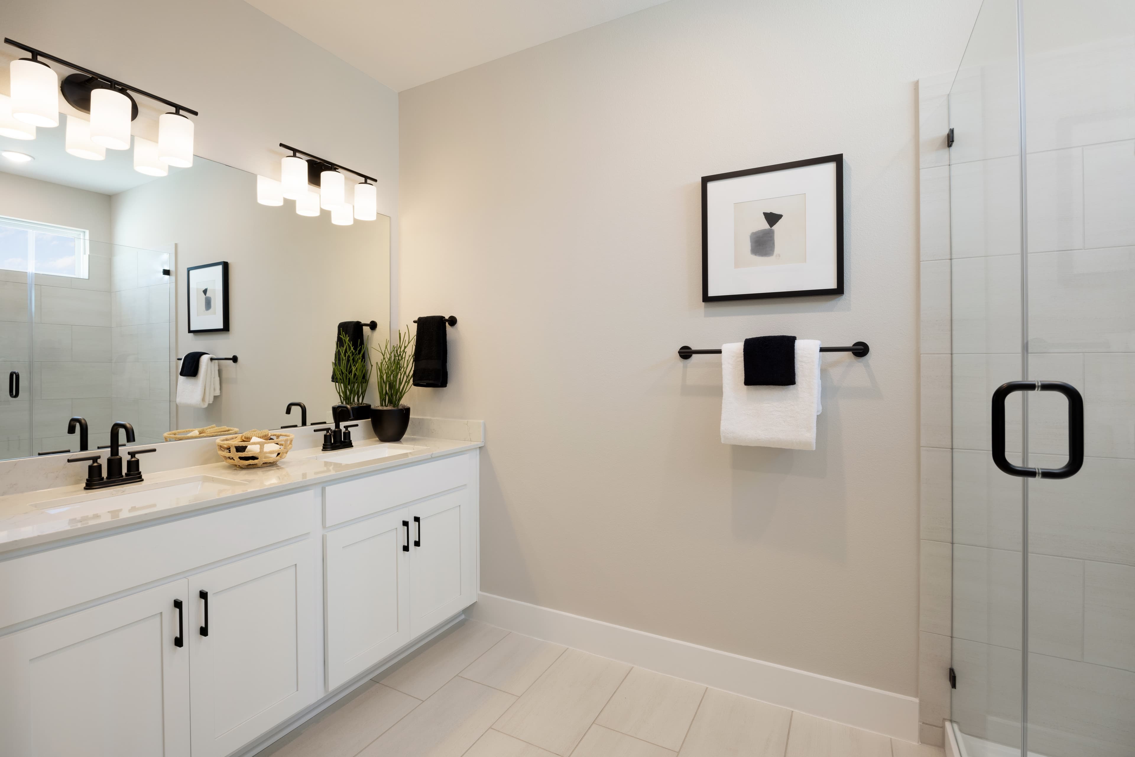 Welcome to the Ryegrass Collection – Freedom at Anthem Neighborhood