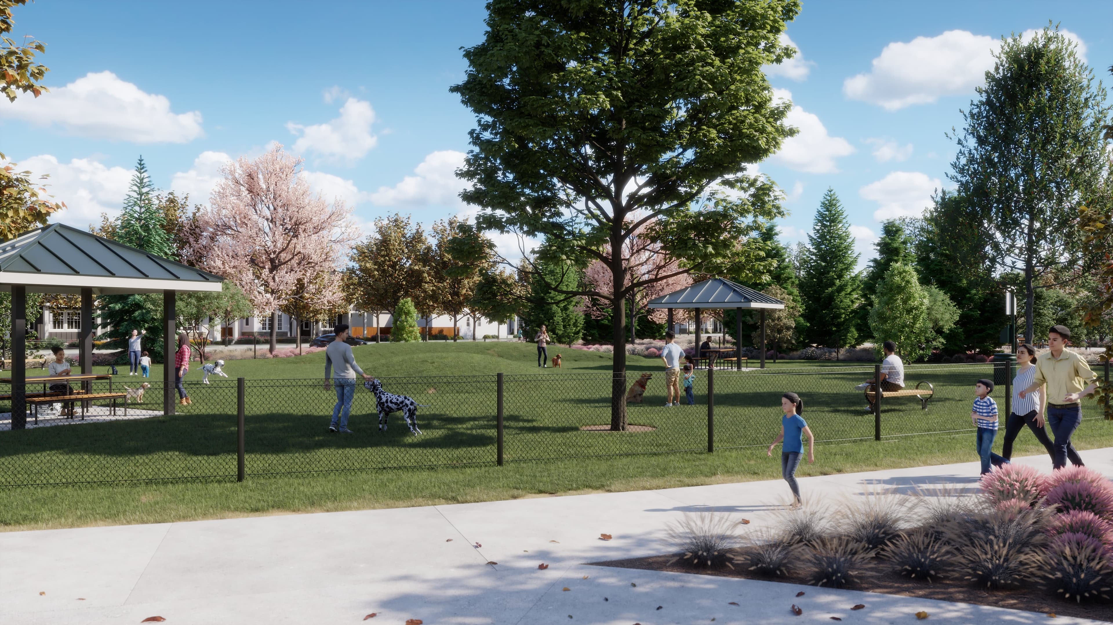 Dog Park